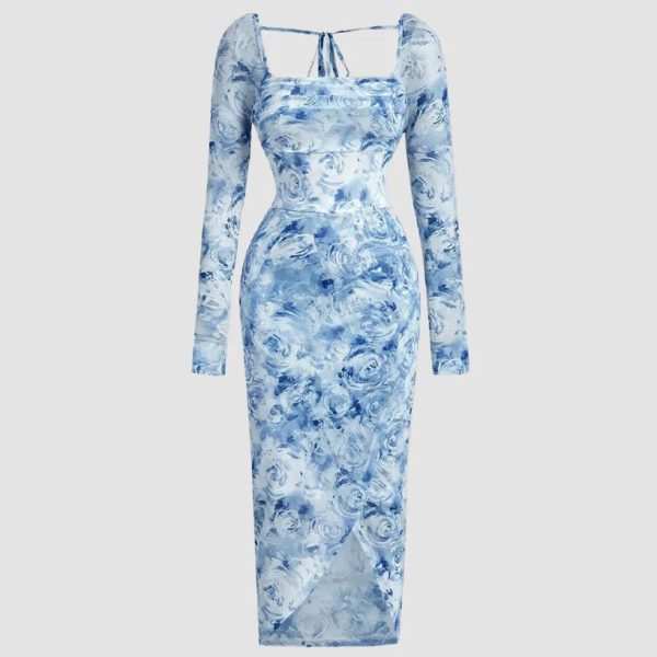 Floral Print Mesh Midi Dress With Tie Front Detail & Long Sleeves